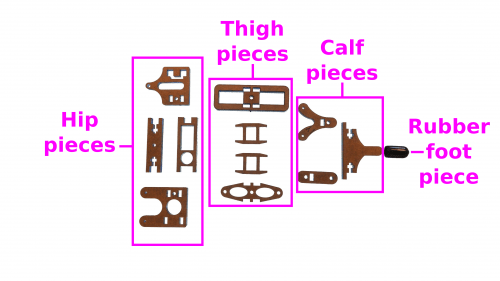 leg-pieces-labeled.jpg